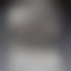 Canine Furtography