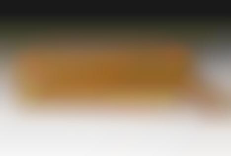 Presidential Newspaper Purses