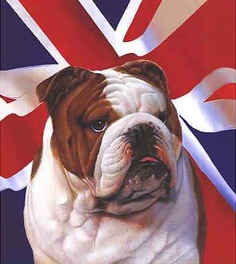 25 Reasons Why the UK Rocks