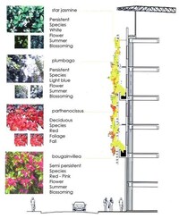Flowering Architecture Image 2