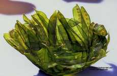 Edible Tableware