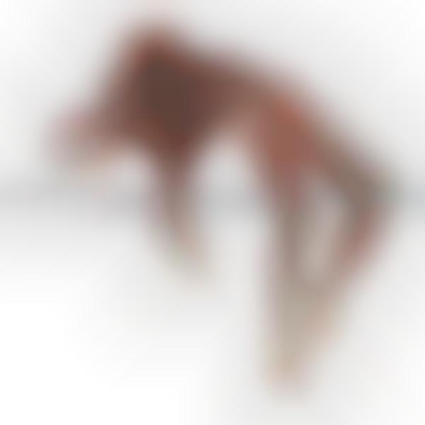 Plasticized Human Bodies