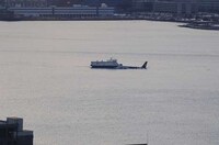 Emergency Landings On Water Image 6