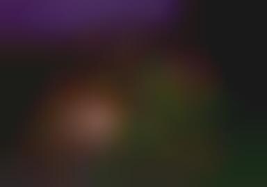 Hobbit-Style Architecture