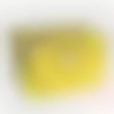 Canary Yellow Luggage
