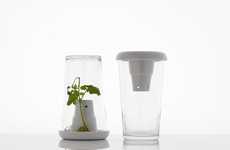 Tilting Soil-Free Terrariums