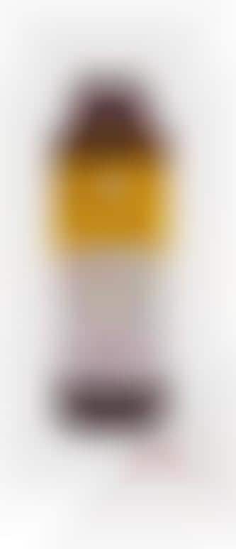 Drinking Vinegar Lemonades