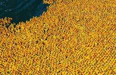 Rubber Duck Races