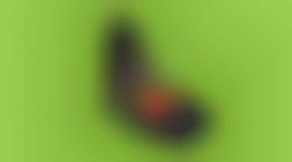 Beanbag Chair Backpacks