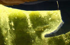 Eco-Friendly Smart Bricks