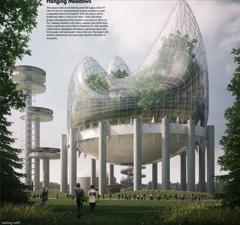 Elevated Native Forests