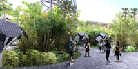 Eco Urban Pathways Image 2