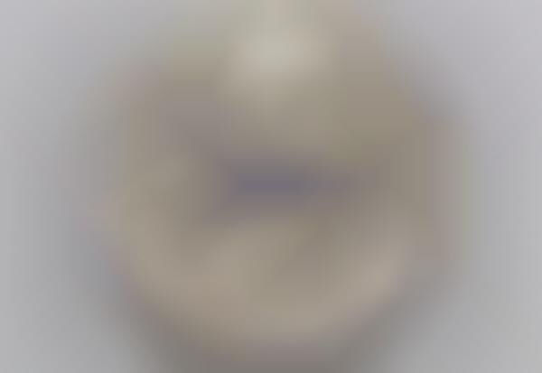 Minuscule Robotic Eyes