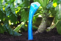 Planted Wireless Speakers Image 2