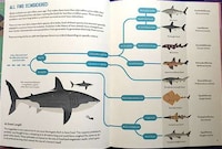 Educational Shark Books Image 4