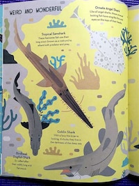 Educational Shark Books Image 5