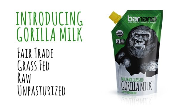 16 Alternative Animal Milk Products