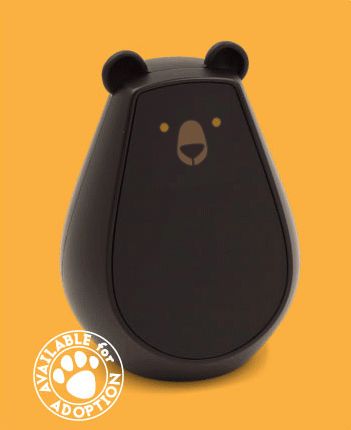 Bear-Shaped Home Automation Bots Image 2