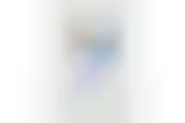 Apartment Rental Chatbots