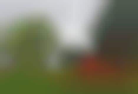 Giant Squid Art Installations