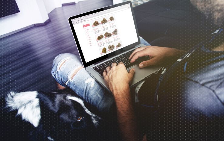 Connective Cannabis Platforms