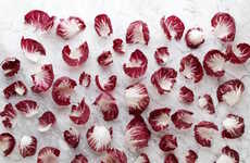 Calorie-Representative Photography