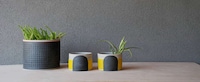 Graphic Ceramic Decor Image 4