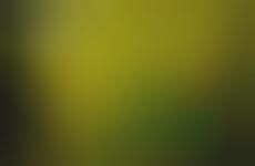 Smoke Bomb Photo Series