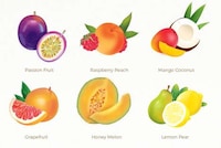 Exotic Mint Branding Image 4