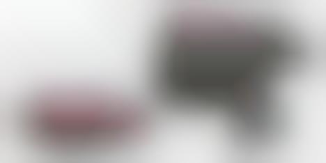 Multi-Use Sleeping Bags