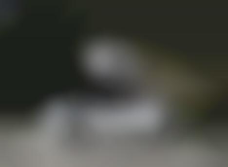 Monitoring Home Robots
