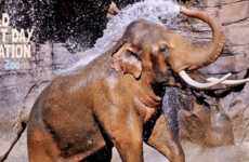 Anti-Poaching Events