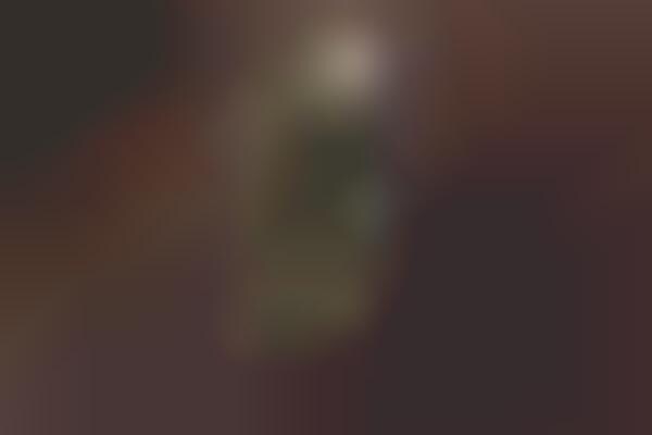 Ocular Digital Cameras