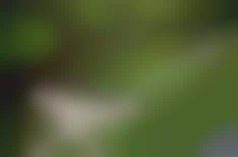 Earthquake Memorial Museums