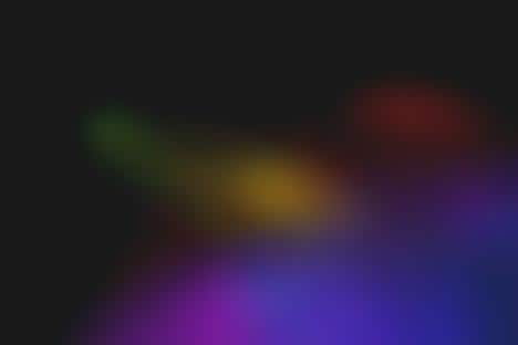 Interactive Koi Ponds