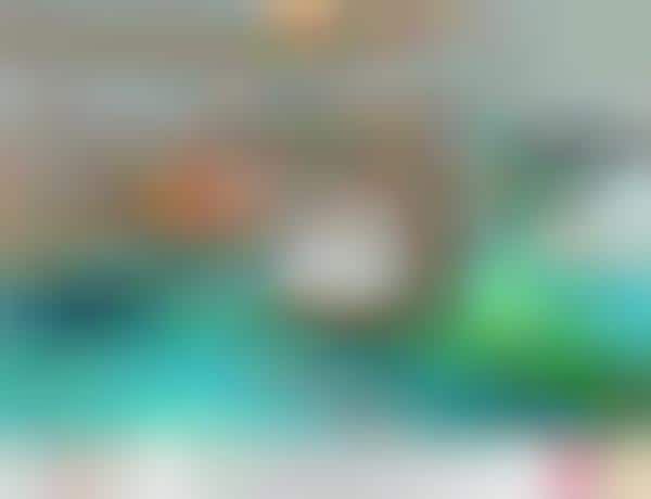 Hawaiian Cupcake Parlors