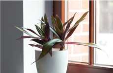 Smart Modern Planters