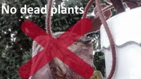 Smart Modern Planters Image 4