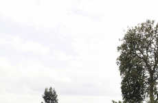 Green Gardening Roofs