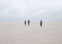 Solar Energy Windbreakers Image 5