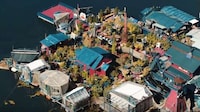 Homemade Floating Islands Image 7