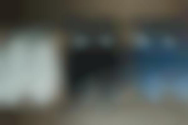 snakeskin vans slides