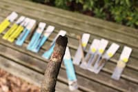 Arboreal Stationary Pens Image 4