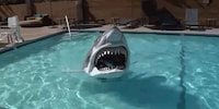 Animatronic Shark Costumes Image 2