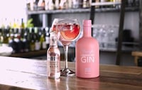 Pink Gin Spirits Image 3