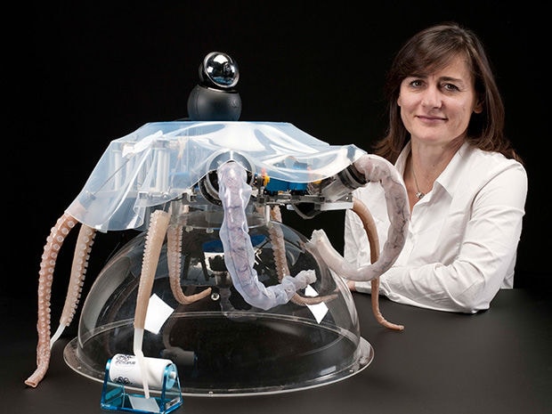 Soft-Bodied Robotic Octopi