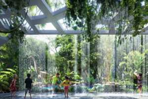 Simulated Rainforest Hotels