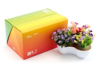 Puzzle Planter Packaging Image 3