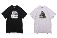 Distinguished Primate T-Shirts Image 2