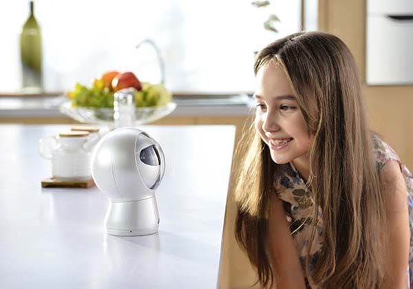 Assistive Household Robots